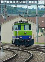 BLS Rangierlok Tea 245 024-5 durchfhrt am 29.07.08 den Bahnhof von Spiez. (Hans)