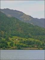 Ein Regio befindet sich auf seiner Fahrt von Interlaken West nach Spiez. Das Foto entstand am 29.07.08 whrend einer Schifffahrt auf dem Thuner See. (Jeanny)
