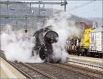 Elefant auf dem Weg zum Gotthard.