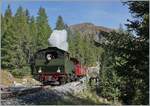 Von Realp kommend hat die HG 4/4 704 mit ihrem Dampfzug die baumlose Hochgebirgslandschaft hinter sich gelassen und fährt wenige Kilometer vor ihrer Ankunft in Oberwald durch eine Waldstück.