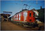 Wird auch heute noch gern und oft fotografiert: Die SBB Re 4/4 I 10019, heute bei der Centralbahn im Einsatz; damals als das Bild entstand, beim Halt mit einem Regionalzug von Payerne nach Lausanne in Puidoux Chexbres im Sommer 1993.
(Analoges Bild) 