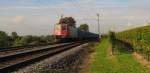 SBB Cargo 421 374-0 mit dem DGS 41037 von Koblenz-Ltzel Nord nach Modena Bf (I), bei Erbach (Rheingau); 06.10.2010