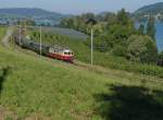 Deutlich besseres Wetter als beim letzten Fototermin mit der 10034 - Am 07.06.2014 ist bei Mammern Re 4/4 I 10034 mit einem Sonderzug von Basel ber Zrich und Stein an Rhein nach Konstanz unterwegs. Ab Konstanz wird eine V 100 den Sonderzug bernehmen und ber Radolfzell, Friedrichshafen, Aulendorf und durchs Allgu nach Augsburg fahren. Dass das Fahrgestell der Lok nicht vollstndig verdeckt ist, ist einem freundlichen Bahnfotografen aus Hessen zu verdanken, der kurz vorher noch Bschungspflegearbeiten durchfhrte.