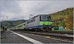 Die BLS Re 4/4 II 501 mit ihrem RE 4064  GoldenPass  von Zweisimmen nach Spiez beim Halt in Boltigen.