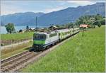 Die BLS Re 4/4 II 502 ist bei Faulensee mit dem RE 4073 von Interlaken Ost nach Zweisimmen unterwegs.