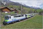 Die Eisenbahn ganz gross: Ziemlich Bildfüllend zeigt sich die BLS Re 4/4 II 504 mit ihrem EW III RE von Interlaken Ost nach Zweisimmen bei Enge im Simmental.