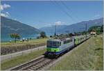 Sommer am Thunersee - die BLS Re 4/4 504 ist bei Faulensee mit ihrem RE von Zweisimmen nach Interlaken unterwegs, während links im Bild die Bauern ihr Heu einbringen. 

14. Juni 2021