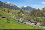 BLS Re 420 502 / RE Interlaken Ost - Zweisimmen / Enge im Simmental, 8. Mai 2021