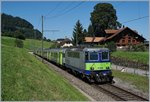 Die BLS Re 4/4 II 502 mit dem GoldenPass RE 4068 vom Zweisimmen nach Interlaken Ost.