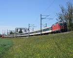 Die SBB Re 4/4 II Nr. 11143 zog am 30. April 2017 den langen, ein wenig speziellen Ersatzzug als IR 2273 und die SBB Re 4/4 II Nr. 11152 am Zugende, vom Basel SBB zum Bahnhof Zürich Flughafen, anschliessend zum einem Abstellgleis im Bahnhof Effretikon. Das Bild entstand bei wunderschönem Wetter zwischen Bassersdorf und Baltenswil.