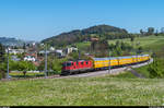 Re 4/4 II 11163 mit einem Postzug zwischen Sirnach und Eschlikon am 10.