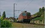 Die SBB Re 4/4 II 11166 mit einem Güterzug Richtung Biel/Bienne kurz nach Ligerz.
31. Juli 2017