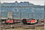 SBB Re 4/4 II 11187 und ÖBB 1144 108 in Buchs SG. (08.08.2017)