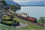 Die SBB Re 4/4 11248 (Re 420 248-7) fährt mit einem Güterzug bei Veytaux in Richtung Lausanne.