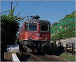 Eisenbahn (fast) zum Anfassen: Auf dem kurzen Einspurabschnitt zwischen Ligerz und Twann kommen sich Eisenbahn, Wege und Landschaft sehr nahe.
Das Bild zeigt die SBB Re 420 280-0, die mit mit eine Kesselwagenzug unterwegs ist bei einem der drei Barrieren-Übergänge zwischen Ligerz und Twann.
18. August 2017   