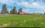 Re 4/4 II 11240 mit einem Güterzug am 13. Oktober 2017 zwischen Amriswil und Oberaach.