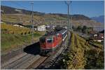 Am 16. Oktober wurde der IR 1722 Brig Genève mit einem Disopp Zug geführt. Die führende SBB Re 4/4 II 11156 ist die erste Lok der zweiten Serie und wurde 1969 in Dienst gestellt.
Cully, den 16. Okt. 2017