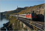 Die SBB Re 4/4 II 11194 mit ihrem IR 1927 Genève-Aéroport - Sion zwischen Rivaz und St Saphorin. Da diese HVZ Züge in Lastrichtung verkehrn, d.h. Morgens Ost-West und am Abnd zurück, können sie nur im Gegenlicht fotografiert werden.
16. Okt. 2017