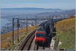 Die SBB Re 460 113-4 mit ihrem IC 723 auf der Fahrt von Genève Aéroport nach St.Gallen passiert die Einfahrsignale von Grandvaux.