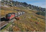 Im Gegensatz zur Ligne du Simplon (Rhonetahbahn) die am Lac Léman entlang führt, verkehren auf der Strecke Lausanne - Palèzieux - Bern/Payerne eher wenige Güterzüge. 
Das Bild zeigt die SBB Re 4/4 II 11183 mit eine kurzen Güterug zwischen Grandvaux und Bossière auf der Fahrt Richtung Lausanne.
26. Okt. 2017