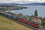 Re 420 255-2 und Re 620 am 29.06.2017 in Einigen am Thunersee.