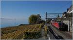 Die SBB Re 420 263-6 und ein weitere mit dem  Spaghetti -Zug von Frankreich nach Italien bei Rivaz.