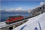 Die SBB Re 4/4 II 11251 mit einem Güterzug auf der Fahrt Richtung Wallis vor dem Panorama des Genfer-Sees.