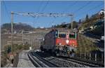 Die SBB Re 4/4 II 11286 mit einem Mini-Güterzug kurz vor Grandvaux.