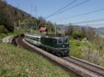 Die Re 4/4 11161 mit einem Voralpenexpress nach St.