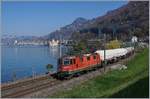 Bei Villeneuve, vor dem Hintergrund des Château de Chillon und Montreux zieht die SBB Re 420 277-6 einen Güterzug Richtung Wallis.