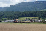 SBB CARGO.
Sechs verschiedene Güterzüge in der Landschaft verewigt bei Niederbipp am 30. August 2019.
Dank dem Wappen erkennbar ist die Re 420 278-4  CHAM .
Foto: Walter Ruetsch