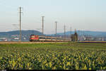 SBB Re 4/4 II 11141 mit Fussballextrazug Luzern - Neuchâtel am Abend des 26.