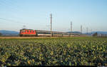 SBB Re 4/4 II 11141 mit Fussballextrazug Luzern - Neuchâtel am Abend des 26.