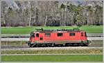 Re 4/4 II 11318 auf dem Dreischienengleis bei Felsberg auf dem Weg nach Ems Werk.