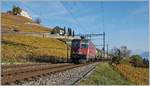 Die SBB Re 420 257-8 fährt kurz vor Lutry mit einem Kesselwagenzug durch das herbstliche Lavaux.