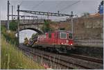 Erst durch die Bauarbeiten zugänglich und schon fast zu spät habe ich bemerkt, dass die Steinbogenbrücke beim Bahnhof von Cully auch von der anderen Seite ein schönes Bild macht.