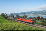 SBB Cargo Re 4/4 II 11264 und 11240 mit Panzerzug Bure - Gampel-Steg am 30.