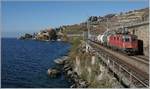 Klassisch: Bei einem Ausflug in Lavaux suchte ich auch meine  Lieblingsfotostelle  zwischen St-Saphorin und Rivaz auf und fotografiert die SBB Re 4/4 II 11271 (Re 420 271-9 ) die mit einem kurzen