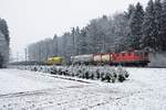 SBB AK Re 420 289-1  bei Deitingen unterwegs am 10. Februar 2021.
Foto: Walter Ruetsch