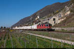 Am frühen Morgen des 01.04.2021 ist SBB Cargo Re 420 318-8  mit einem Cargo Express unterwegs in Richtung Norden und konnte hier am Bielersee bei Ligerz aufgenommen werden.