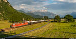 SBB Re 420 196 & 157 / Leermaterialzug Domodossola FS - Lausanne-Triage A/B / Yvorne, 11.