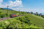 SBB Cargo Re 420 279 / Überfuhr von Wagen mit automatischer Kupplung / Auvernier, 12.