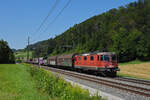 Re 420 290-9 fährt Richtung Bahnhof Tecknau.