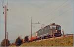 Die SBB Re 4/4 II 11244 ist mit dem IC  Mont Blanc  (Cebère) - Genève - Hamburg zwischen Lengnau und Grenchen Nord unterwegs.