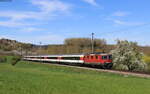 11143 mit dem IC 485 (Singen(Hohentwiel) – Zürich HB) bei Lottstetten 17.4.22