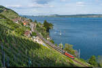 SBB Re 420 149 / Twann, 21. Mai 2022<br>
Fussballextrazug Schaffhausen - Lausanne