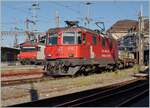 Die SBB Re 4/4 II 11252 (Re 420 252-9)  smile by swisspass  wartet in Lausanne auf die Weiterfahrt in Richtung Vevey. Vor vielen Jahren trug die Lok eine TEE Farbgebung.  

3. August 2022