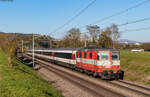 11109 mit dem IC 487 (Singen(Hohentwiel) – Zürich HB) bei Jestetten 27.10.22