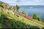 Am 21.05.2022 ist SBB Re 420 149 unterwegs mit einem Fanzug und konnte hier bei Twann am Bielersee aufgenommen werden