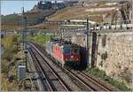 Seit Balsthal habe ich an einem Tag nie mehr wo viele Re 4/4 II gesehen wie an diesem Nachmittag bei St-Saphorin: 
Die rote SBB Re 4/4 II 11342 (Re 420 342-8) und die grüne Re 4/4 II 11355 sind auf dem Weg in Richtung Villeneuve.

15. November 2024